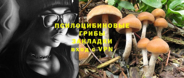 MDMA Premium VHQ Нязепетровск