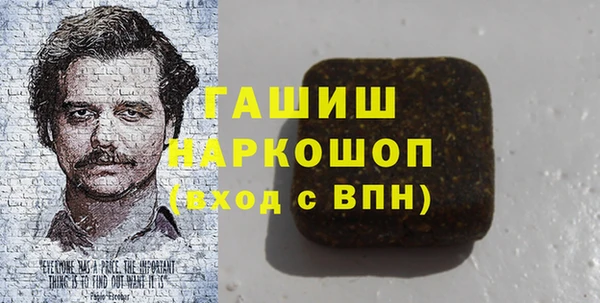гидра Новодвинск